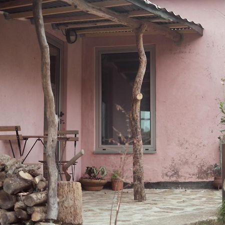 Cabana Do Dinamarques Em Arga De Baixo Dış mekan fotoğraf