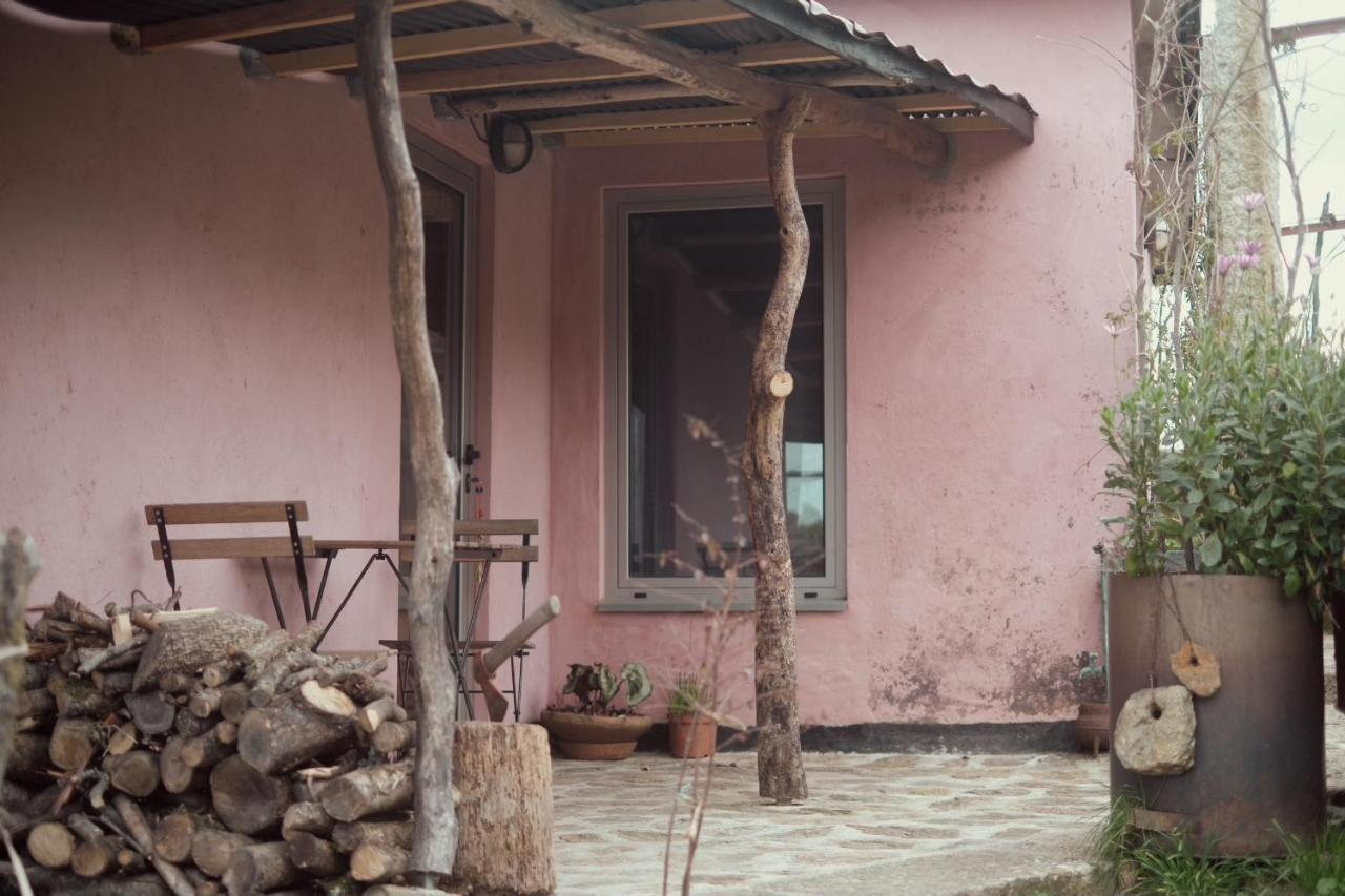 Cabana Do Dinamarques Em Arga De Baixo Dış mekan fotoğraf